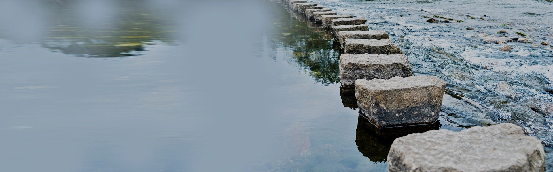 Mind Institute Qatar