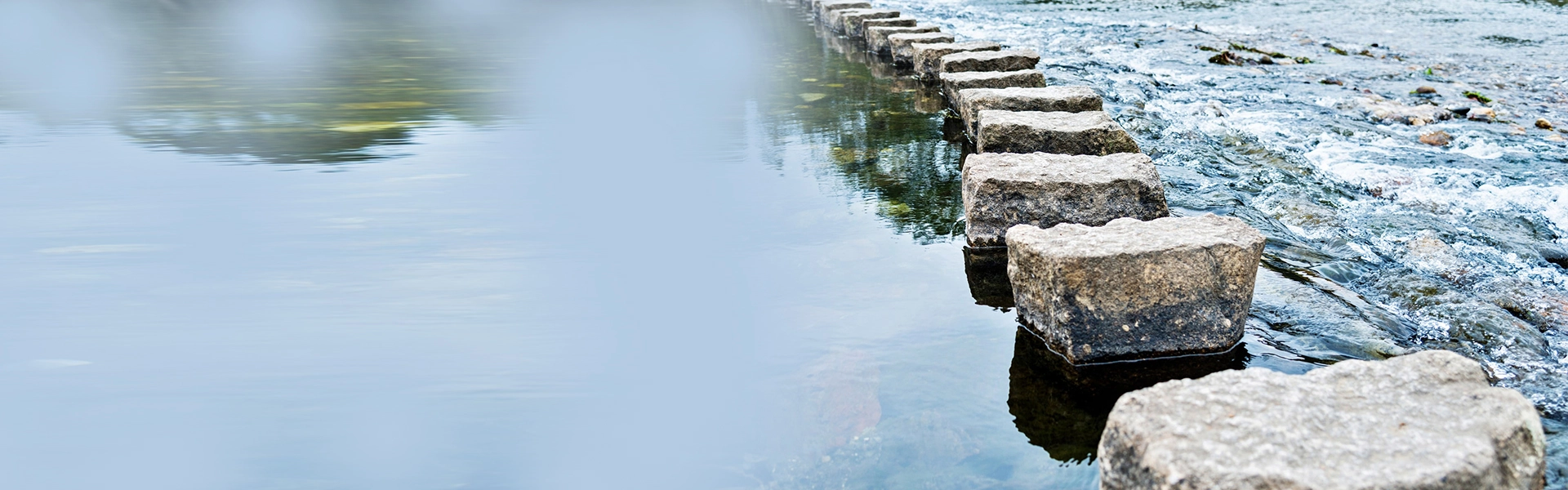 Mind Institute Qatar