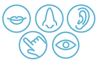 Developmental and behavioral support for children at Mind Institute Doha